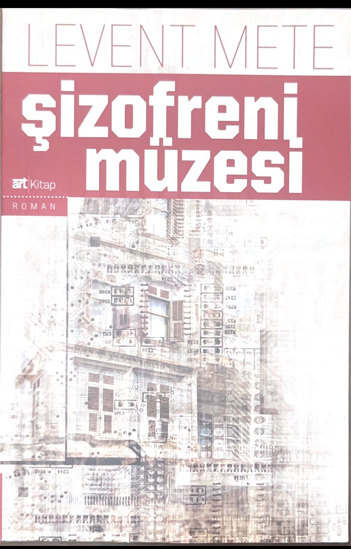 şizofren müzesi